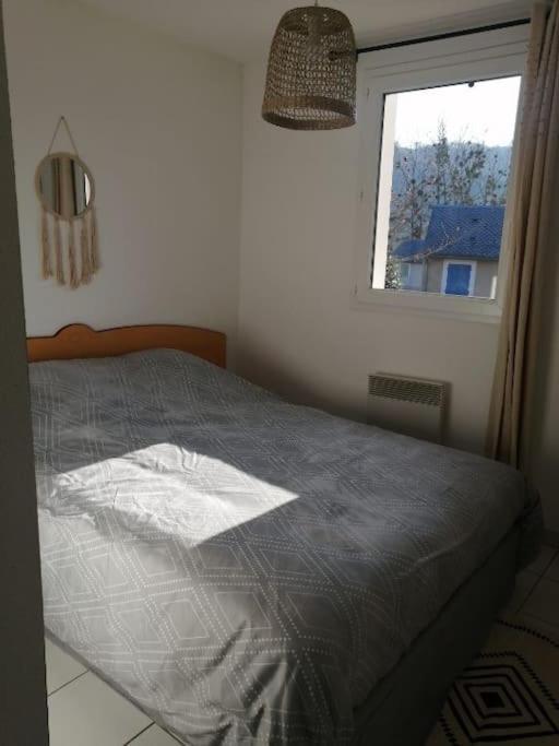 Appartement Calme Et Propre Le Goelia Saint-Geniez-dʼOlt Dış mekan fotoğraf